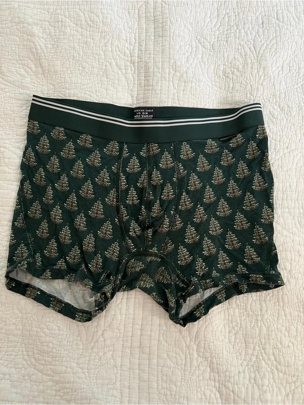 American Eagle Outfitters Dark Green Boxer Briefs with Metallic Tree Print